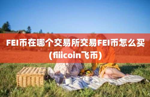 FEI币在哪个交易所交易FEI币怎么买(fiiicoin飞币)