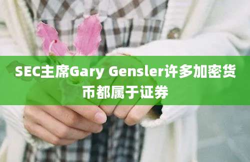 SEC主席Gary Gensler许多加密货币都属于证券