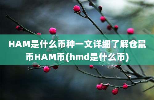 HAM是什么币种一文详细了解仓鼠币HAM币(hmd是什么币)