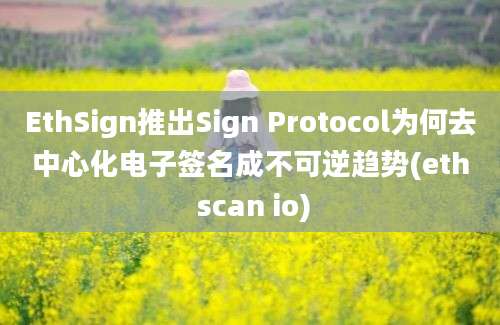 EthSign推出Sign Protocol为何去中心化电子签名成不可逆趋势(eth scan io)