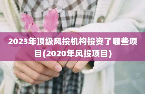 2023年顶级风投机构投资了哪些项目(2020年风投项目)