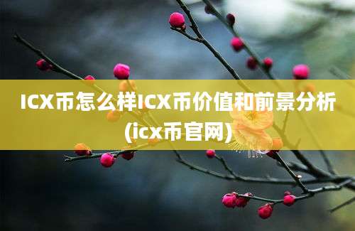 ICX币怎么样ICX币价值和前景分析(icx币官网)