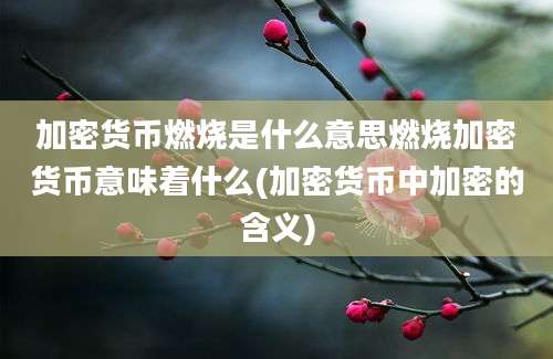 加密货币燃烧是什么意思燃烧加密货币意味着什么(加密货币中加密的含义)