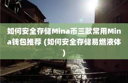 如何安全存储Mina币三款常用Mina钱包推荐 (如何安全存储易燃液体)