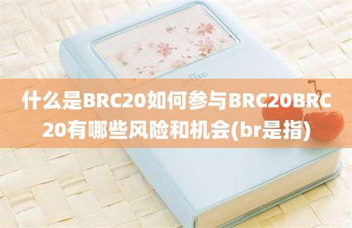 什么是BRC20如何参与BRC20BRC20有哪些风险和机会(br是指)