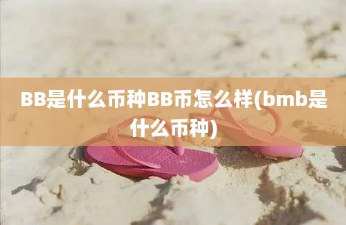 BB是什么币种BB币怎么样(bmb是什么币种)