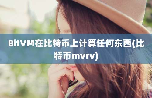 BitVM在比特币上计算任何东西(比特币mvrv)