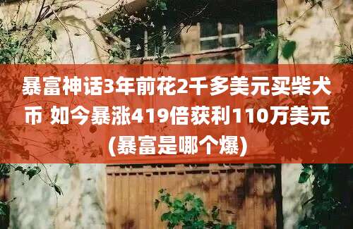 暴富神话3年前花2千多美元买柴犬币 如今暴涨419倍获利110万美元(暴富是哪个爆)