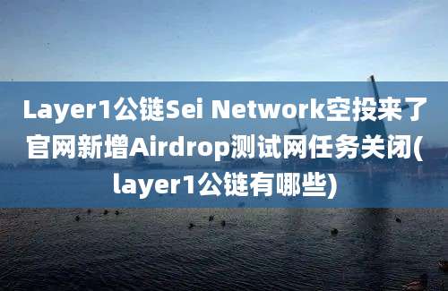 Layer1公链Sei Network空投来了官网新增Airdrop测试网任务关闭(layer1公链有哪些)