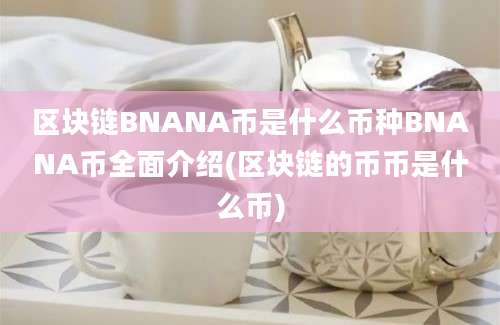 区块链BNANA币是什么币种BNANA币全面介绍(区块链的币币是什么币)