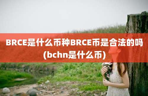 BRCE是什么币种BRCE币是合法的吗(bchn是什么币)