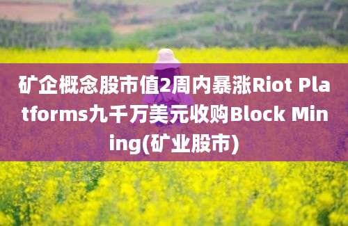 矿企概念股市值2周内暴涨Riot Platforms九千万美元收购Block Mining(矿业股市)