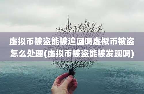 虚拟币被盗能被追回吗虚拟币被盗怎么处理(虚拟币被盗能被发现吗)