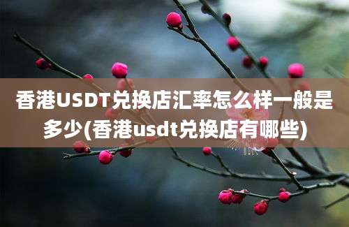 香港USDT兑换店汇率怎么样一般是多少(香港usdt兑换店有哪些)