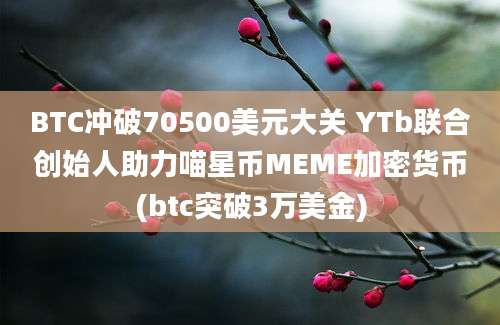 BTC冲破70500美元大关 YTb联合创始人助力喵星币MEME加密货币(btc突破3万美金)