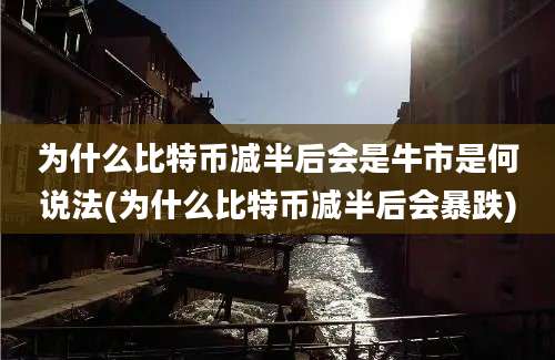 为什么比特币减半后会是牛市是何说法(为什么比特币减半后会暴跌)