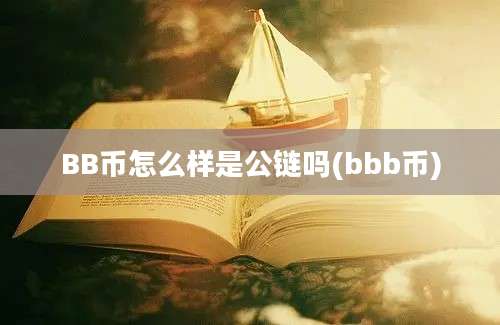 BB币怎么样是公链吗(bbb币)