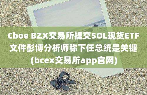 Cboe BZX交易所提交SOL现货ETF文件彭博分析师称下任总统是关键(bcex交易所app官网)