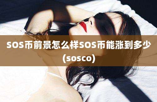 SOS币前景怎么样SOS币能涨到多少(sosco)