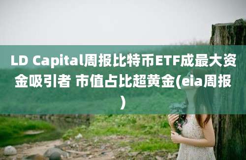 LD Capital周报比特币ETF成最大资金吸引者 市值占比超黄金(eia周报)