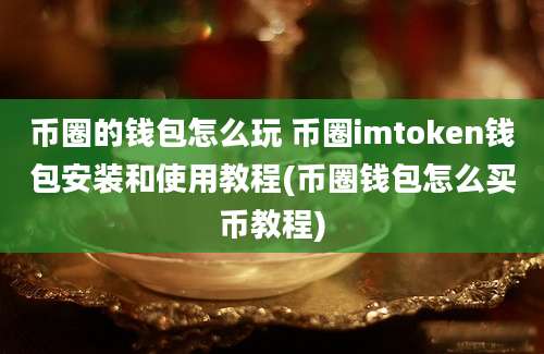 币圈的钱包怎么玩 币圈imtoken钱包安装和使用教程(币圈钱包怎么买币教程)