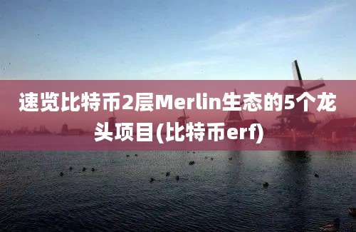 速览比特币2层Merlin生态的5个龙头项目(比特币erf)