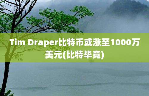 Tim Draper比特币或涨至1000万美元(比特毕竟)