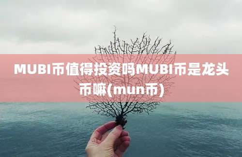 MUBI币值得投资吗MUBI币是龙头币嘛(mun币)