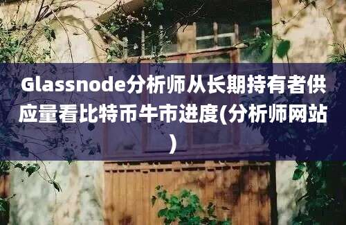 Glassnode分析师从长期持有者供应量看比特币牛市进度(分析师网站)