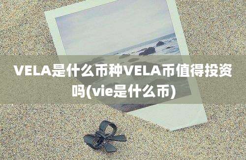 VELA是什么币种VELA币值得投资吗(vie是什么币)