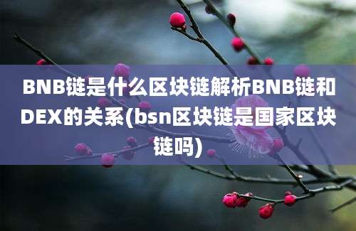 BNB链是什么区块链解析BNB链和DEX的关系(bsn区块链是国家区块链吗)