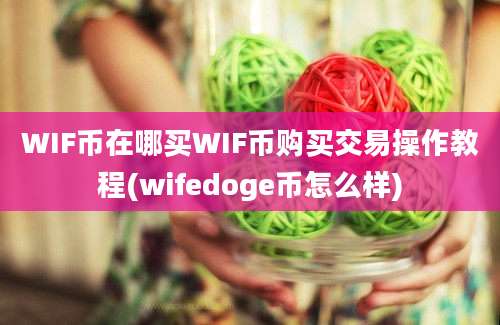 WIF币在哪买WIF币购买交易操作教程(wifedoge币怎么样)