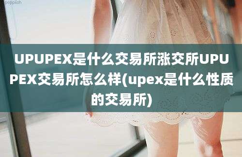 UPUPEX是什么交易所涨交所UPUPEX交易所怎么样(upex是什么性质的交易所)