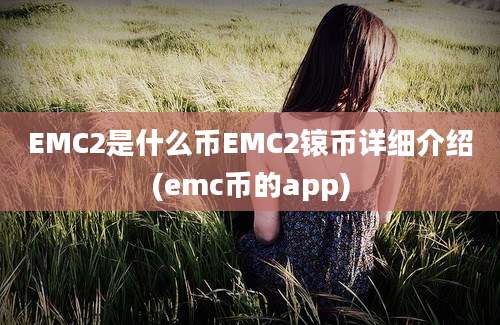 EMC2是什么币EMC2锿币详细介绍(emc币的app)