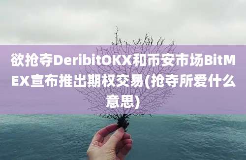 欲抢夺DeribitOKX和币安市场BitMEX宣布推出期权交易(抢夺所爱什么意思)