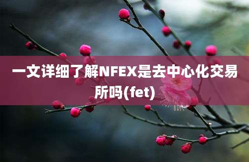 一文详细了解NFEX是去中心化交易所吗(fet)