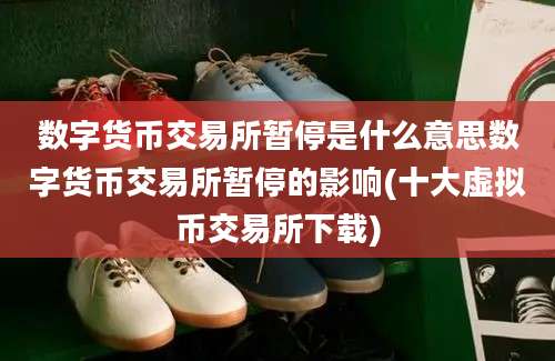 数字货币交易所暂停是什么意思数字货币交易所暂停的影响(十大虚拟币交易所下载)