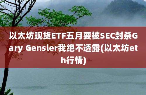 以太坊现货ETF五月要被SEC封杀Gary Gensler我绝不透露(以太坊eth行情)