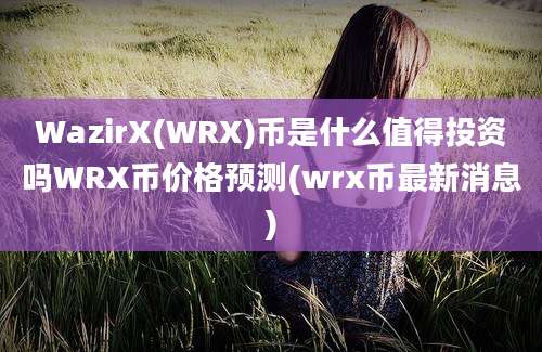 WazirX(WRX)币是什么值得投资吗WRX币价格预测(wrx币最新消息)