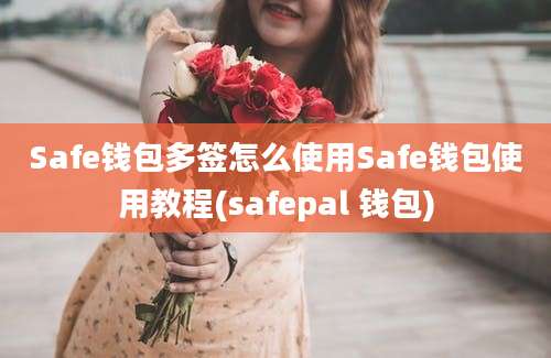 Safe钱包多签怎么使用Safe钱包使用教程(safepal 钱包)