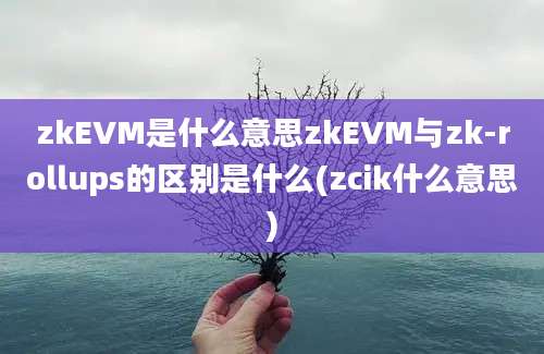 zkEVM是什么意思zkEVM与zk-rollups的区别是什么(zcik什么意思)