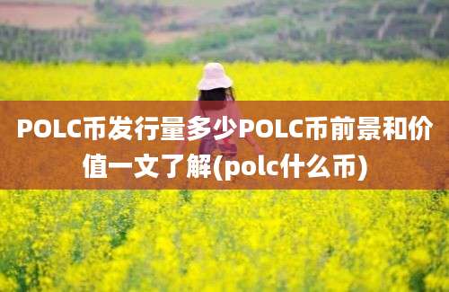 POLC币发行量多少POLC币前景和价值一文了解(polc什么币)