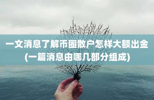 一文消息了解币圈散户怎样大额出金(一篇消息由哪几部分组成)