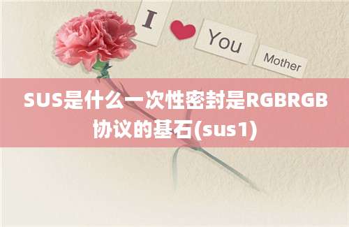 SUS是什么一次性密封是RGBRGB协议的基石(sus1)