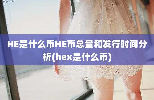 HE是什么币HE币总量和发行时间分析(hex是什么币)