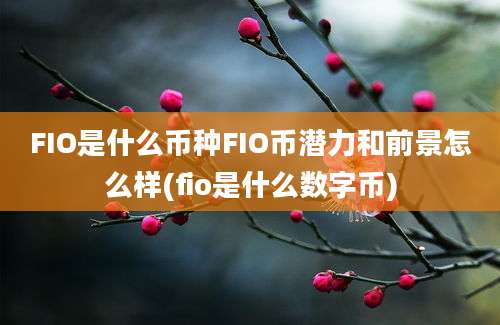 FIO是什么币种FIO币潜力和前景怎么样(fio是什么数字币)