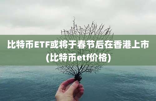 比特币ETF或将于春节后在香港上市(比特币etf价格)