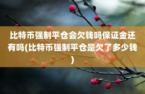 比特币强制平仓会欠钱吗保证金还有吗(比特币强制平仓是欠了多少钱)