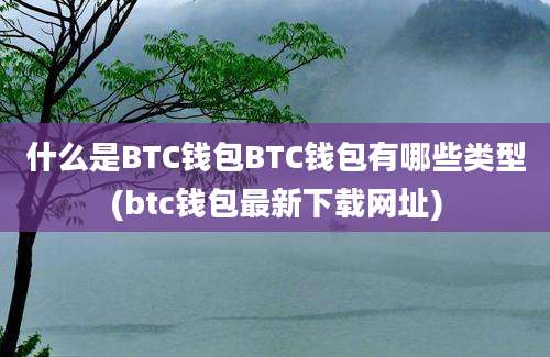 什么是BTC钱包BTC钱包有哪些类型(btc钱包最新下载网址)