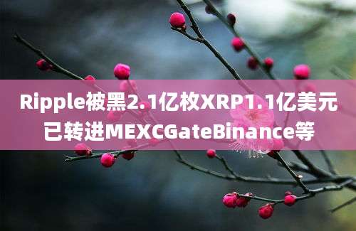 Ripple被黑2.1亿枚XRP1.1亿美元已转进MEXCGateBinance等